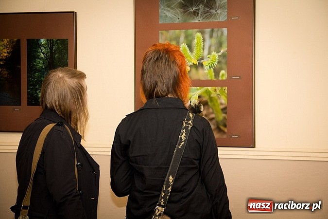 Zdjęcie w galerii na portalu naszraciborz.pl: Uwiecznione światło, barwa i kreska w galerii RCK wiadomości z regionu