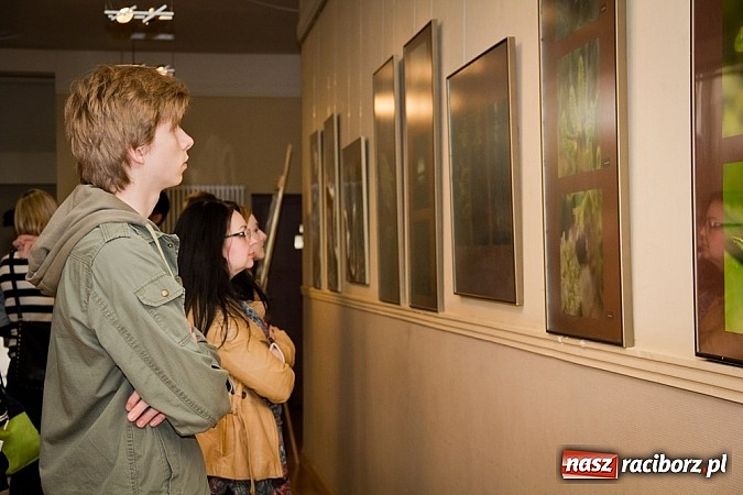 Zdjęcie w galerii na portalu naszraciborz.pl: Uwiecznione światło, barwa i kreska w galerii RCK wiadomości z regionu