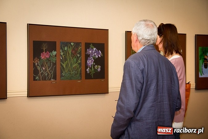 Zdjęcie w galerii na portalu naszraciborz.pl: Uwiecznione światło, barwa i kreska w galerii RCK wiadomości z regionu