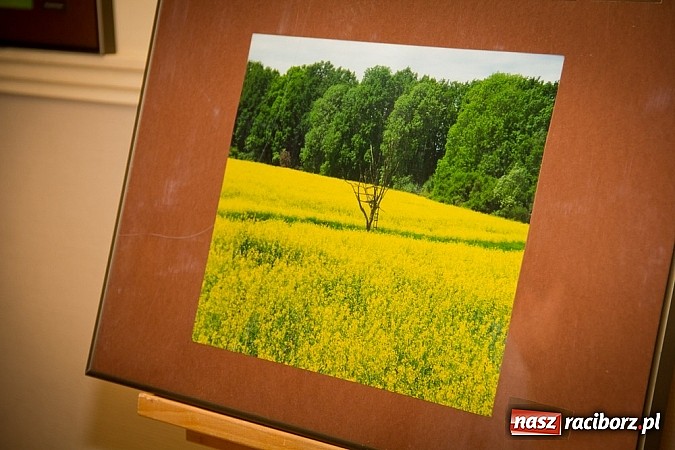 Zdjęcie w galerii na portalu naszraciborz.pl: Uwiecznione światło, barwa i kreska w galerii RCK wiadomości z regionu