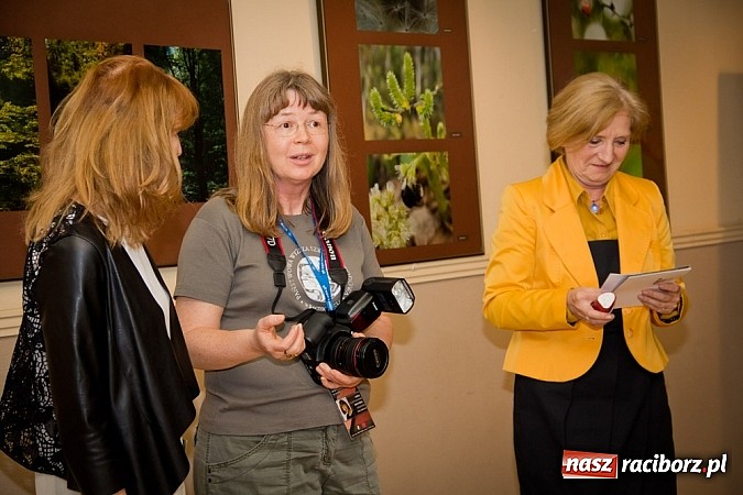 Zdjęcie w galerii na portalu naszraciborz.pl: Uwiecznione światło, barwa i kreska w galerii RCK wiadomości z regionu