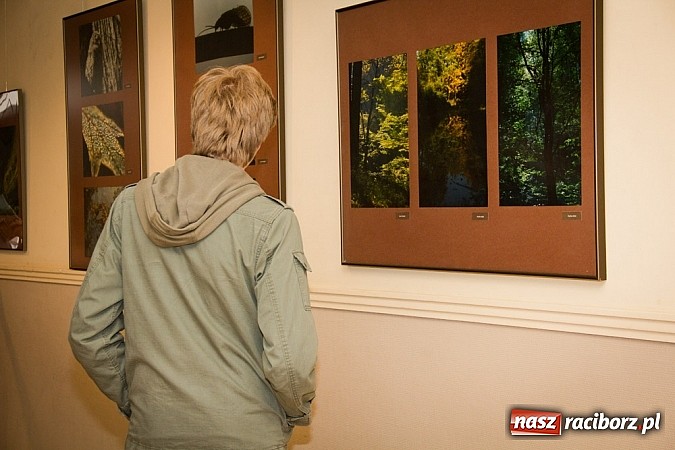 Zdjęcie w galerii na portalu naszraciborz.pl: Uwiecznione światło, barwa i kreska w galerii RCK wiadomości z regionu