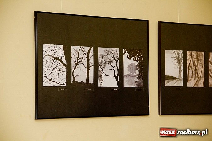 Zdjęcie w galerii na portalu naszraciborz.pl: Uwiecznione światło, barwa i kreska w galerii RCK wiadomości z regionu