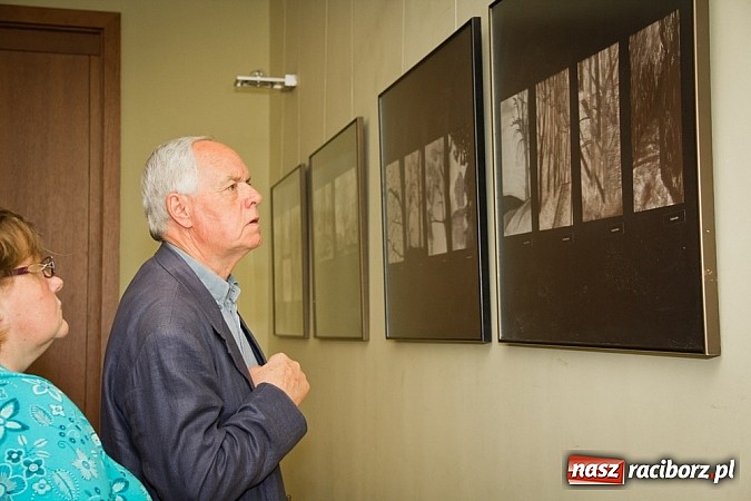 Zdjęcie w galerii na portalu naszraciborz.pl: Uwiecznione światło, barwa i kreska w galerii RCK wiadomości z regionu