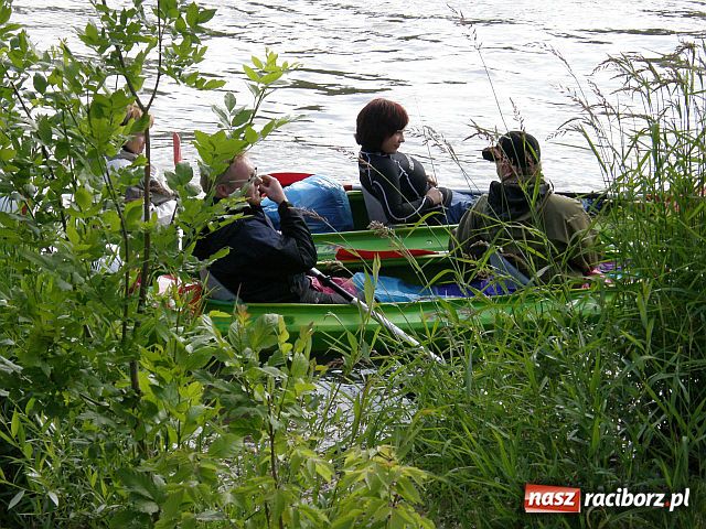 Zdjęcie w galerii na portalu naszraciborz.pl: Kajakarze nadal na Odrze wiadomości z regionu