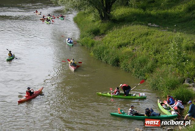 Zdjęcie w galerii na portalu naszraciborz.pl: Kajakarze nadal na Odrze wiadomości z regionu