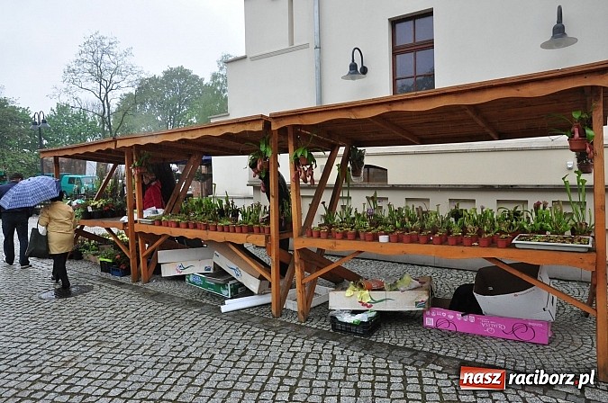 Zdjęcie w galerii na portalu naszraciborz.pl: Jarmark zamkowy ruszył. Pogoda łaskawa wiadomości z regionu