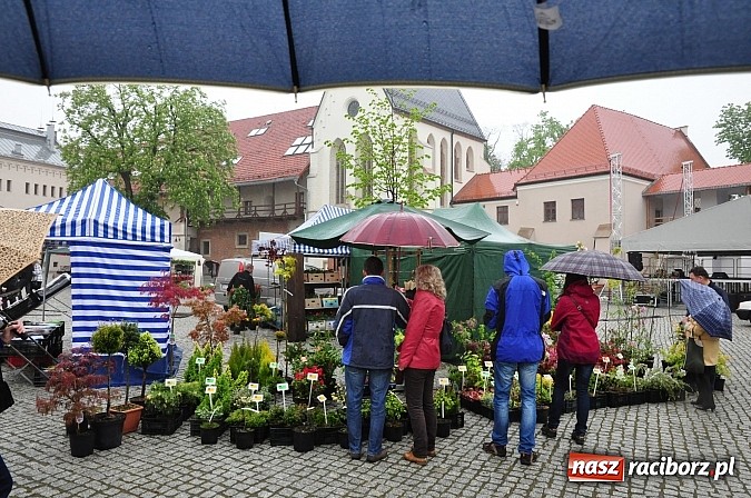 Zdjęcie w galerii na portalu naszraciborz.pl: Jarmark zamkowy ruszył. Pogoda łaskawa wiadomości z regionu