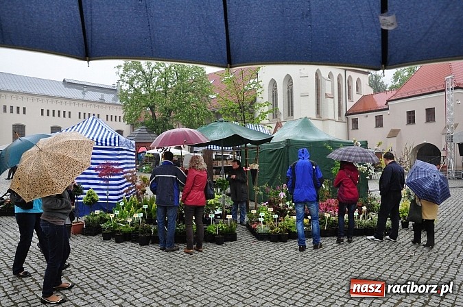 Zdjęcie w galerii na portalu naszraciborz.pl: Jarmark zamkowy ruszył. Pogoda łaskawa wiadomości z regionu