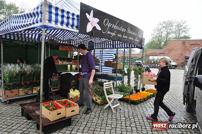 Zdjęcie w galerii na portalu naszraciborz.pl: Jarmark zamkowy ruszył. Pogoda łaskawa wiadomości z regionu