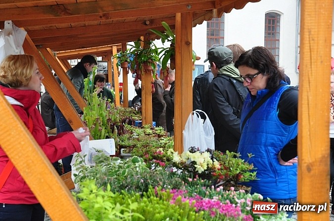 Zdjęcie w galerii na portalu naszraciborz.pl: Jarmark zamkowy ruszył. Pogoda łaskawa wiadomości z regionu