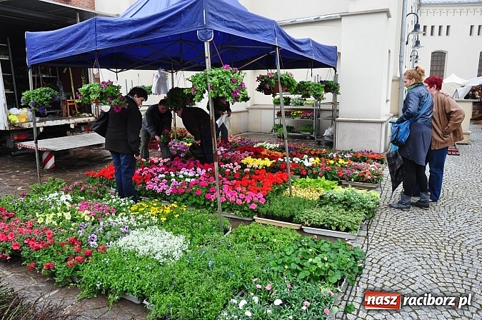 Zdjęcie w galerii na portalu naszraciborz.pl: Jarmark zamkowy ruszył. Pogoda łaskawa wiadomości z regionu