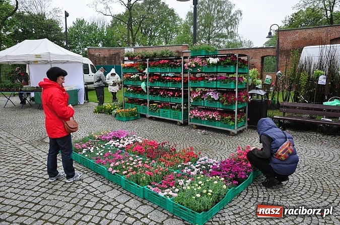 Zdjęcie w galerii na portalu naszraciborz.pl: Jarmark zamkowy ruszył. Pogoda łaskawa wiadomości z regionu