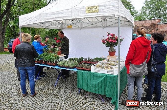 Zdjęcie w galerii na portalu naszraciborz.pl: Jarmark zamkowy ruszył. Pogoda łaskawa wiadomości z regionu