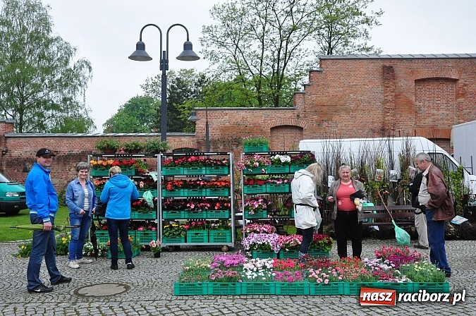 Zdjęcie w galerii na portalu naszraciborz.pl: Jarmark zamkowy ruszył. Pogoda łaskawa wiadomości z regionu