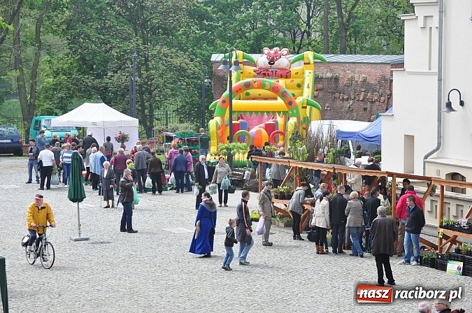 Zdjęcie w galerii na portalu naszraciborz.pl: Jarmark zamkowy ruszył. Pogoda łaskawa wiadomości z regionu