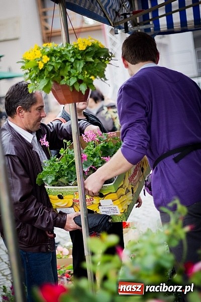 Zdjęcie w galerii na portalu naszraciborz.pl: Drugi zamkowy jarmark za nami. Nie dopisała tylko pogoda wiadomości z regionu