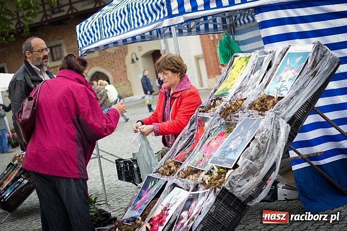 Zdjęcie w galerii na portalu naszraciborz.pl: Drugi zamkowy jarmark za nami. Nie dopisała tylko pogoda wiadomości z regionu