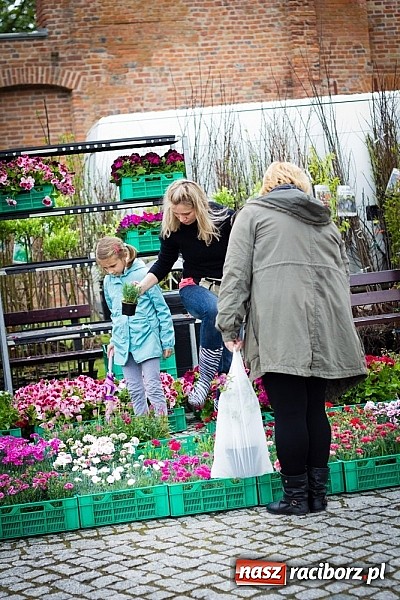 Zdjęcie w galerii na portalu naszraciborz.pl: Drugi zamkowy jarmark za nami. Nie dopisała tylko pogoda wiadomości z regionu