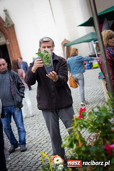 Zdjęcie w galerii na portalu naszraciborz.pl: Drugi zamkowy jarmark za nami. Nie dopisała tylko pogoda wiadomości z regionu