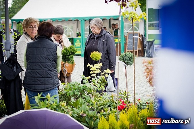 Zdjęcie w galerii na portalu naszraciborz.pl: Drugi zamkowy jarmark za nami. Nie dopisała tylko pogoda wiadomości z regionu