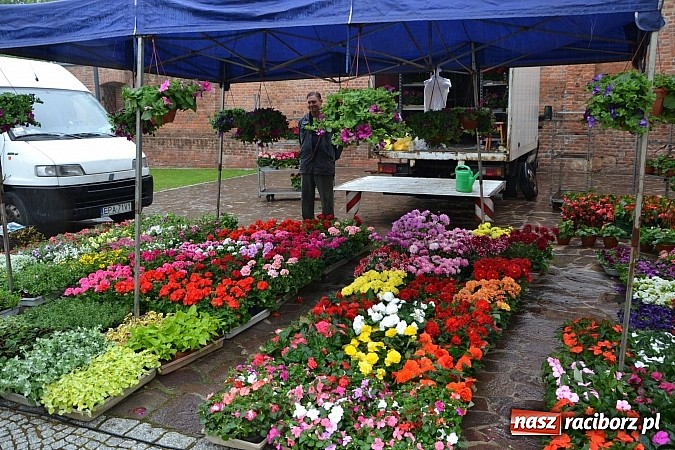Zdjęcie w galerii na portalu naszraciborz.pl: Drugi zamkowy jarmark za nami. Nie dopisała tylko pogoda wiadomości z regionu