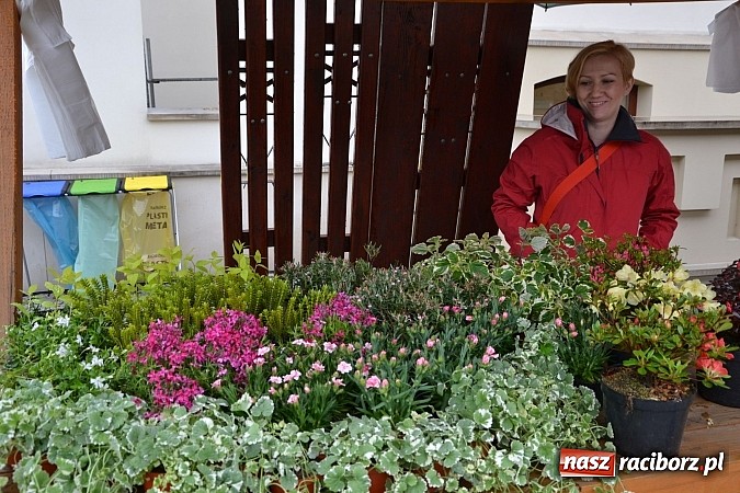 Zdjęcie w galerii na portalu naszraciborz.pl: Drugi zamkowy jarmark za nami. Nie dopisała tylko pogoda wiadomości z regionu