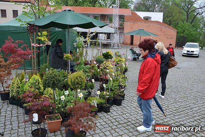 Zdjęcie w galerii na portalu naszraciborz.pl: Drugi zamkowy jarmark za nami. Nie dopisała tylko pogoda wiadomości z regionu