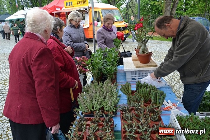 Zdjęcie w galerii na portalu naszraciborz.pl: Drugi zamkowy jarmark za nami. Nie dopisała tylko pogoda wiadomości z regionu