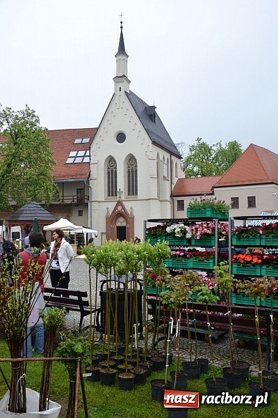 Zdjęcie w galerii na portalu naszraciborz.pl: Drugi zamkowy jarmark za nami. Nie dopisała tylko pogoda wiadomości z regionu