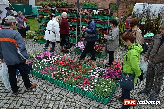 Zdjęcie w galerii na portalu naszraciborz.pl: Drugi zamkowy jarmark za nami. Nie dopisała tylko pogoda wiadomości z regionu