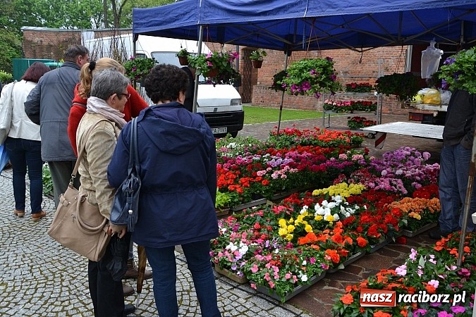 Zdjęcie w galerii na portalu naszraciborz.pl: Drugi zamkowy jarmark za nami. Nie dopisała tylko pogoda wiadomości z regionu