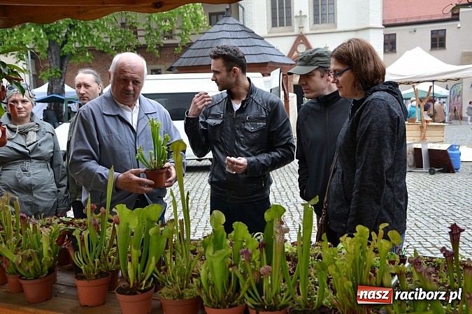 Zdjęcie w galerii na portalu naszraciborz.pl: Drugi zamkowy jarmark za nami. Nie dopisała tylko pogoda wiadomości z regionu