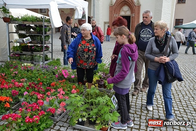 Zdjęcie w galerii na portalu naszraciborz.pl: Drugi zamkowy jarmark za nami. Nie dopisała tylko pogoda wiadomości z regionu
