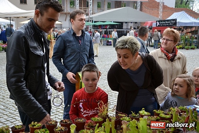 Zdjęcie w galerii na portalu naszraciborz.pl: Drugi zamkowy jarmark za nami. Nie dopisała tylko pogoda wiadomości z regionu