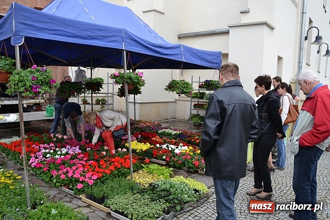 Zdjęcie w galerii na portalu naszraciborz.pl: Drugi zamkowy jarmark za nami. Nie dopisała tylko pogoda wiadomości z regionu