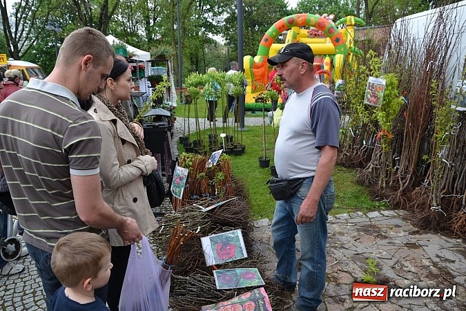 Zdjęcie w galerii na portalu naszraciborz.pl: Drugi zamkowy jarmark za nami. Nie dopisała tylko pogoda wiadomości z regionu