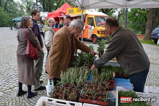 Zdjęcie w galerii na portalu naszraciborz.pl: Drugi zamkowy jarmark za nami. Nie dopisała tylko pogoda wiadomości z regionu