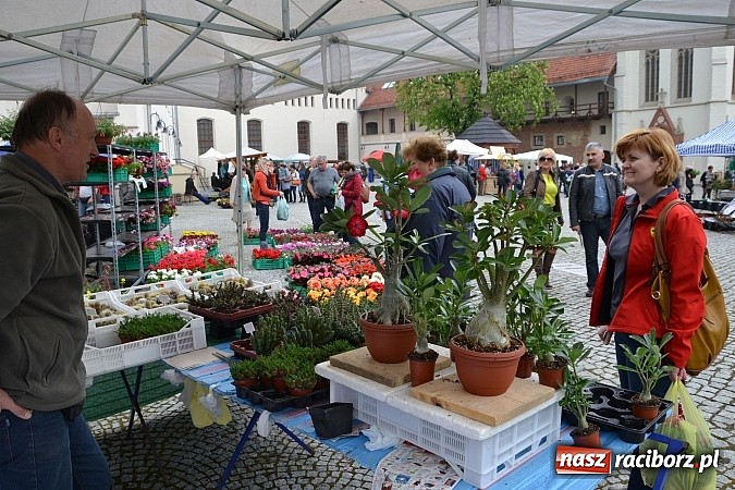 Zdjęcie w galerii na portalu naszraciborz.pl: Drugi zamkowy jarmark za nami. Nie dopisała tylko pogoda wiadomości z regionu
