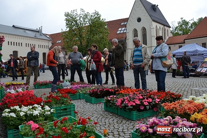 Zdjęcie w galerii na portalu naszraciborz.pl: Drugi zamkowy jarmark za nami. Nie dopisała tylko pogoda wiadomości z regionu
