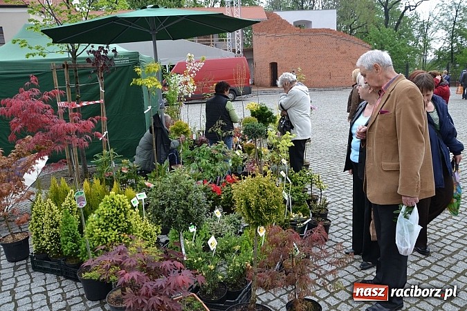 Zdjęcie w galerii na portalu naszraciborz.pl: Drugi zamkowy jarmark za nami. Nie dopisała tylko pogoda wiadomości z regionu