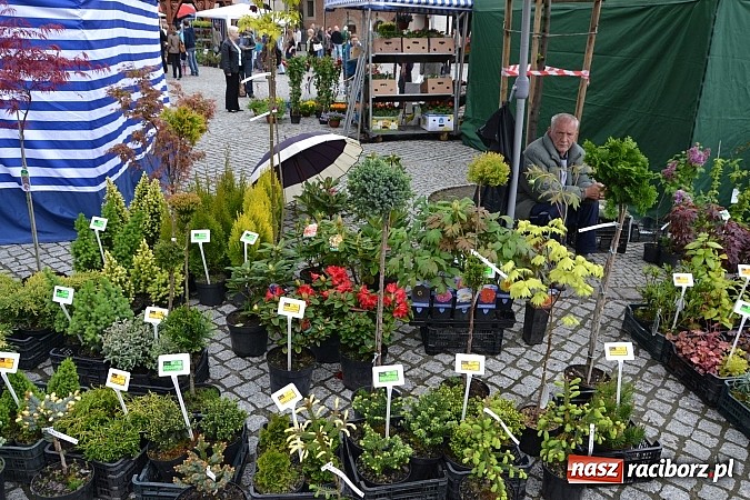 Zdjęcie w galerii na portalu naszraciborz.pl: Drugi zamkowy jarmark za nami. Nie dopisała tylko pogoda wiadomości z regionu