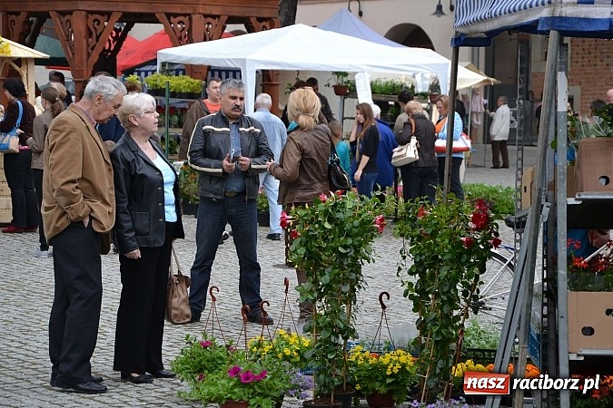 Zdjęcie w galerii na portalu naszraciborz.pl: Drugi zamkowy jarmark za nami. Nie dopisała tylko pogoda wiadomości z regionu