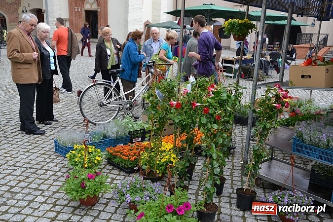 Zdjęcie w galerii na portalu naszraciborz.pl: Drugi zamkowy jarmark za nami. Nie dopisała tylko pogoda wiadomości z regionu