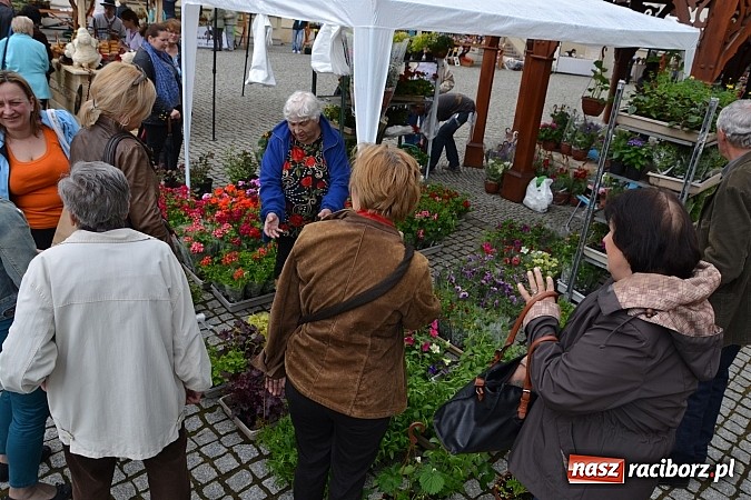 Zdjęcie w galerii na portalu naszraciborz.pl: Drugi zamkowy jarmark za nami. Nie dopisała tylko pogoda wiadomości z regionu