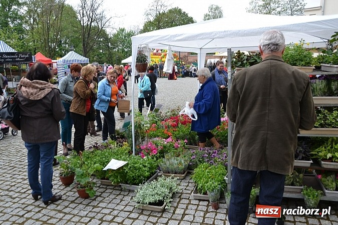 Zdjęcie w galerii na portalu naszraciborz.pl: Drugi zamkowy jarmark za nami. Nie dopisała tylko pogoda wiadomości z regionu