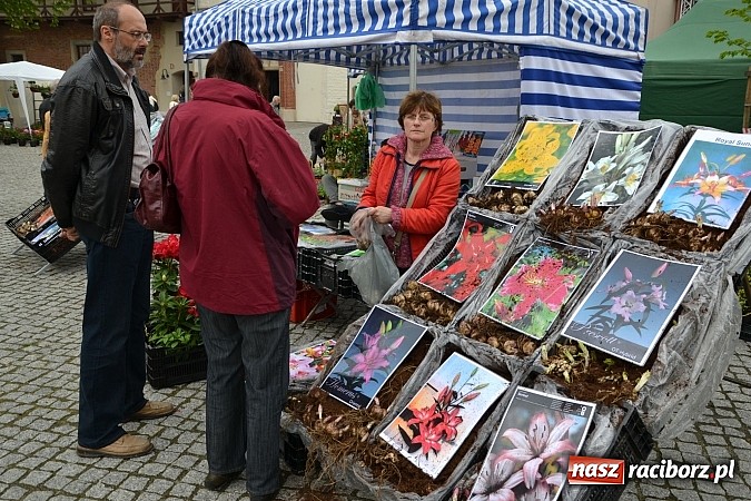 Zdjęcie w galerii na portalu naszraciborz.pl: Drugi zamkowy jarmark za nami. Nie dopisała tylko pogoda wiadomości z regionu