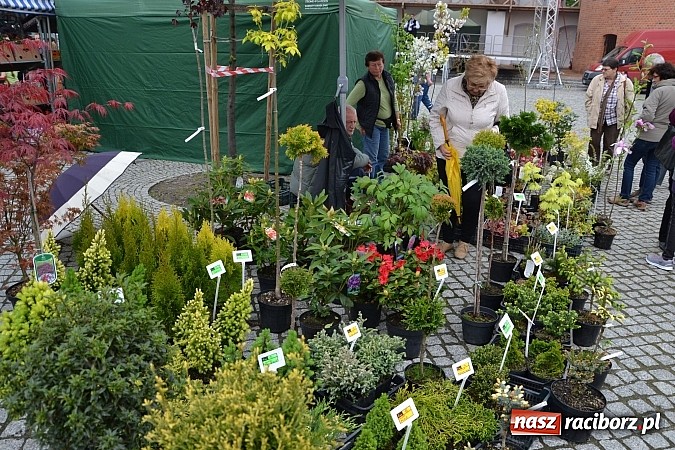 Zdjęcie w galerii na portalu naszraciborz.pl: Drugi zamkowy jarmark za nami. Nie dopisała tylko pogoda wiadomości z regionu