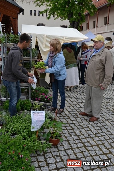 Zdjęcie w galerii na portalu naszraciborz.pl: Drugi zamkowy jarmark za nami. Nie dopisała tylko pogoda wiadomości z regionu