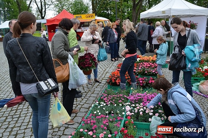 Zdjęcie w galerii na portalu naszraciborz.pl: Drugi zamkowy jarmark za nami. Nie dopisała tylko pogoda wiadomości z regionu